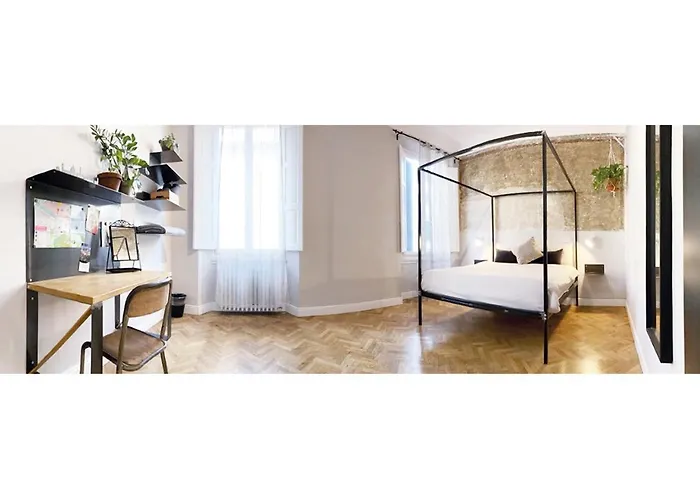 Domus 19
